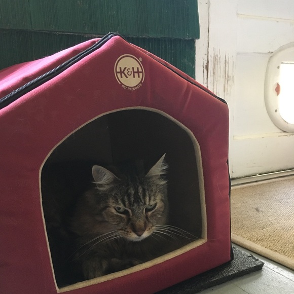 Meet your Posher, Kris - Picture 6 of 6